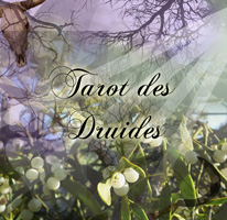 Tarot des Druides